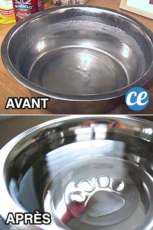 Utilisez du vinaigre blanc pour enlever le calcaire du chat et du chien