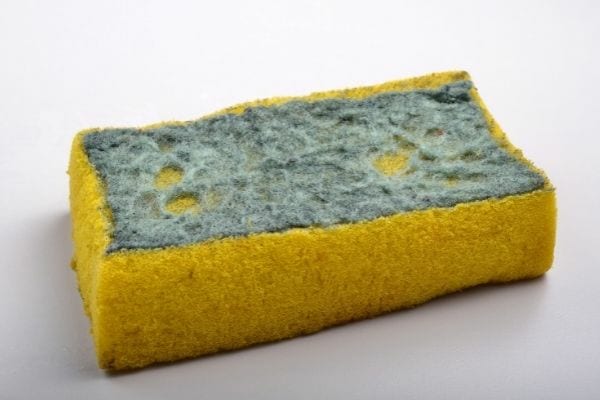 a dirty dish sponge