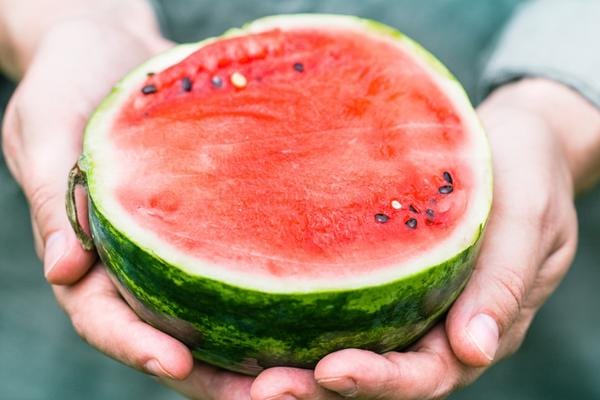 Grosse pastèque coupée dans les mains d'une personne