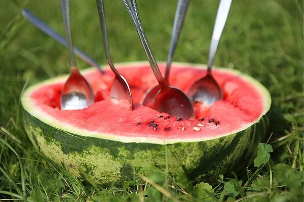 Plusieurs cuillères dans un gros morceau de pastèque