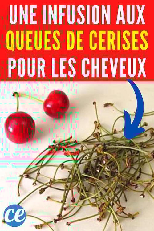 Des queues de cerise pour faire une infusion pour les cheveux