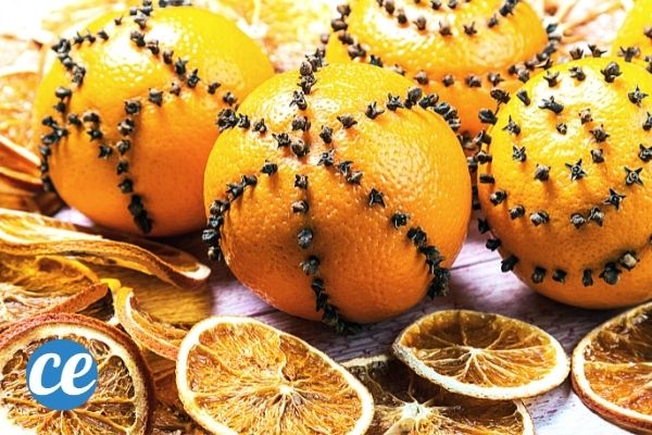 Pourquoi Planter Des Clous De Girofle Dans Une Orange
