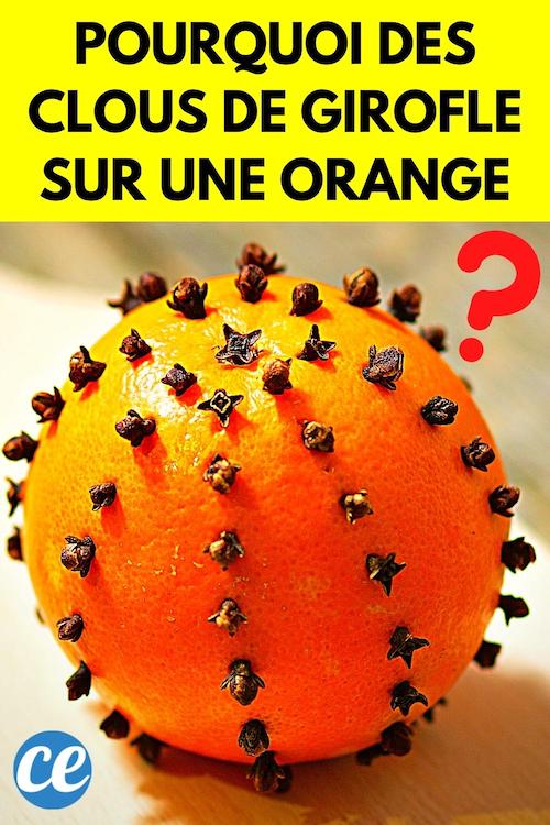 Pourquoi Planter Des Clous De Girofle Dans Une Orange