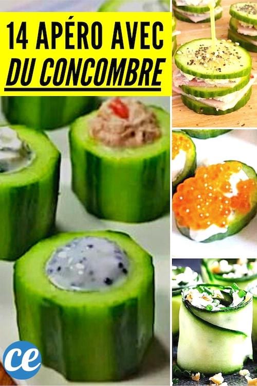 14 recettes d'apéro à base concombre faciles à faire, light et pas chères