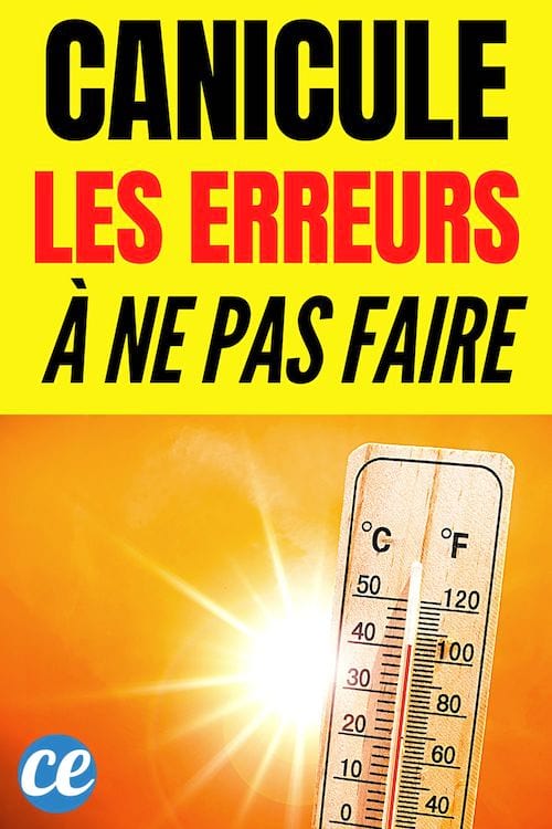 10 Erreurs à Éviter Pendant la Canicule.