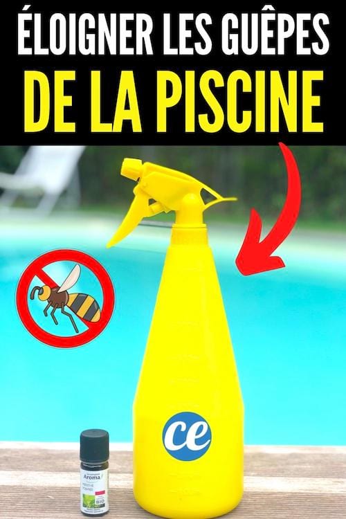 comment éloigner les guêpes de la piscine