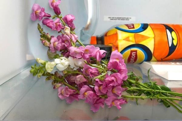 Des fleurs dans un réfrigérateur