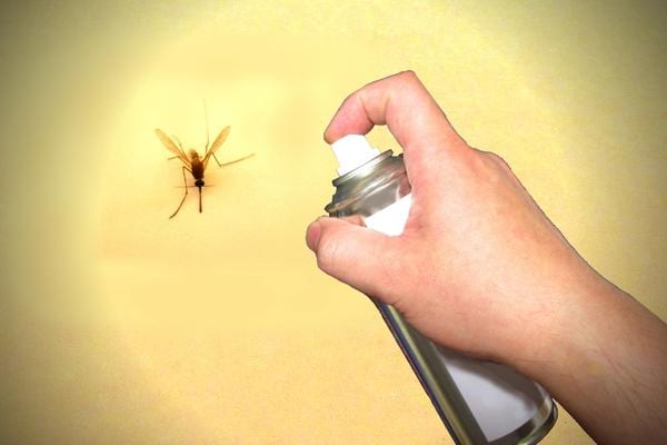 Un humain qui s'apprête à tuer un moustique 