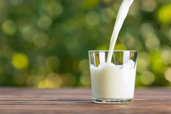 Du lait écrémé dans un verre 