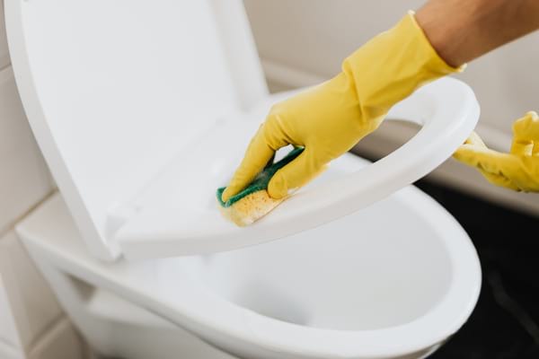 lunette des toilettes lavée avec une éponge pour respecter le méthode hygiénique