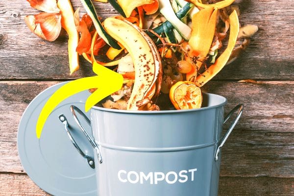 Mettez la peau de banane dans votre compost pour l'utiliser comme engrais.