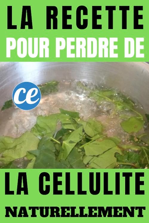recette au lierre pour perdre de la cellulite