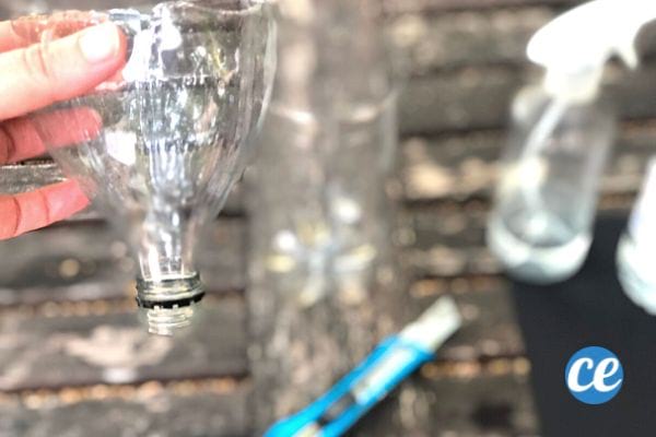 le haut de la bouteille coupée pour faire un piège anti moustique