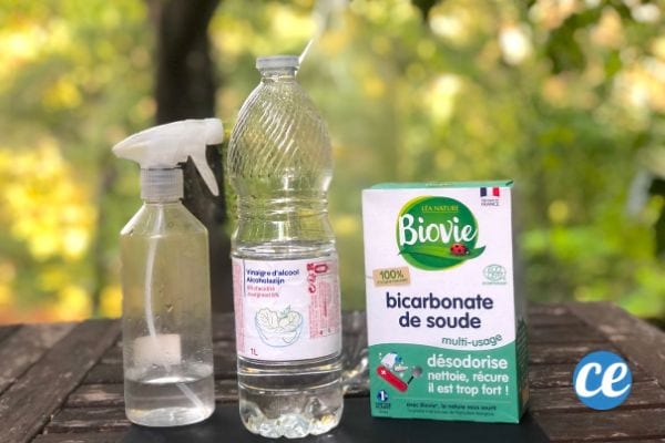 Les ingrédients pour faire un piège anti moustiques