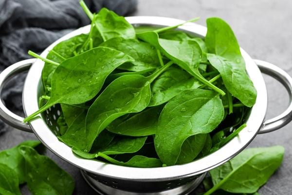 Plusieurs feuilles épinards dans une passoire 