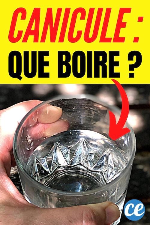 Quelle boisson boire pendant la canicule