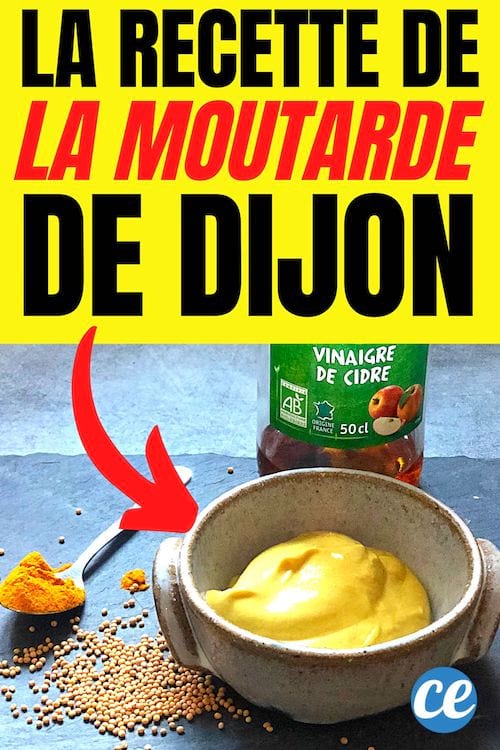 la recette de la moutarde de Dijon facile et rapide à faire à la maison