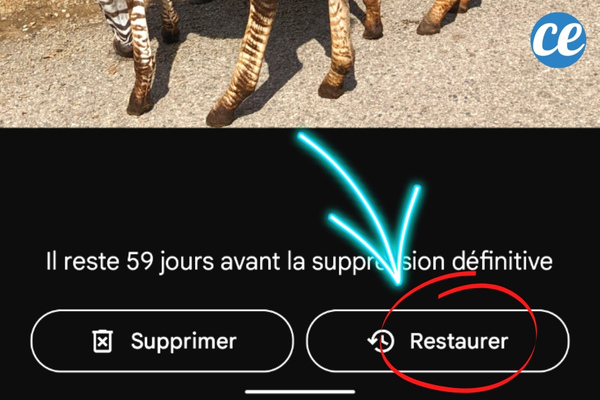 Comment Récupérer les Photos Effacées de Votre Téléphone ? L'Astuce Facile.