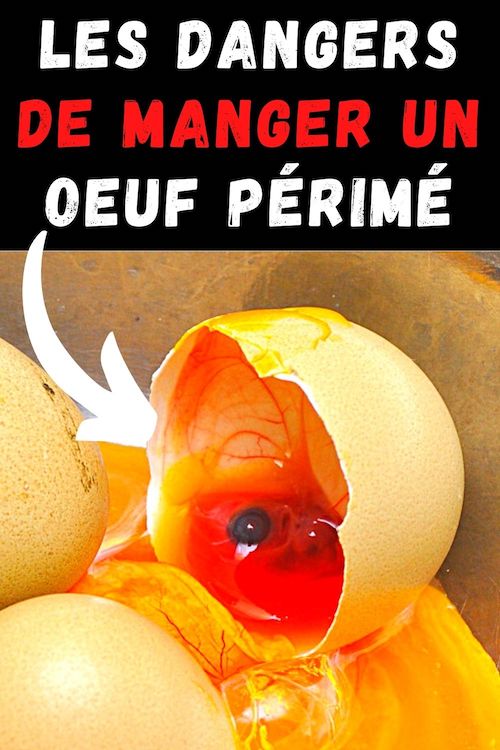 Manger un Oeuf Pourri Quels Sont les Dangers Pour la Santé