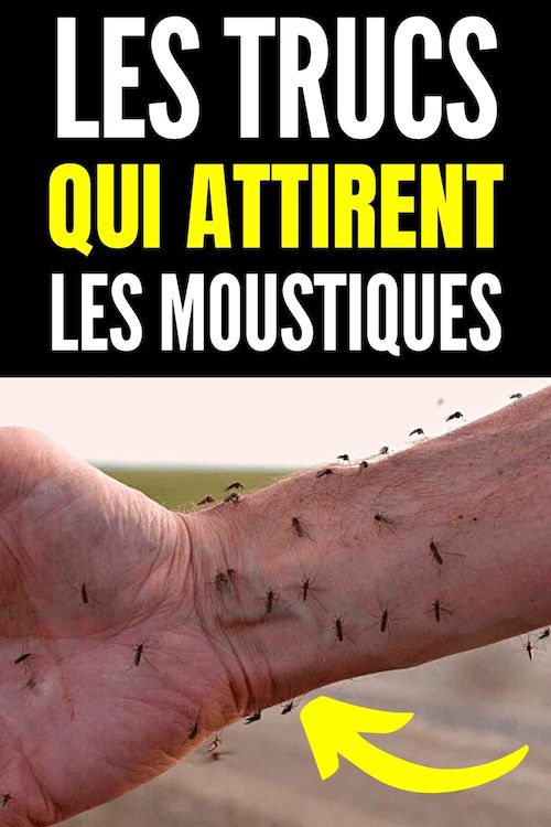 Voici ce qui attire les moustiques sur la peau, dans la maison et au jardin — free download