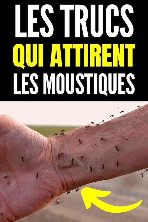 Les trucs qui attirent les moustiques à connaître pour éviter les erreurs