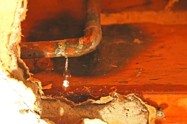 Un tuyau qui a une fuite d'eau qui attire les cafards