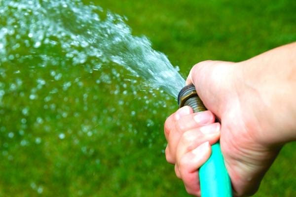 Un gazon arrosé une fois par semaine pour ne pas gaspiller l'eau