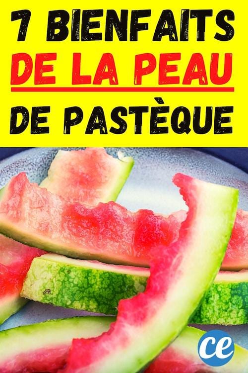 reste de pastèque avec la peau 7 façons de les utiliser