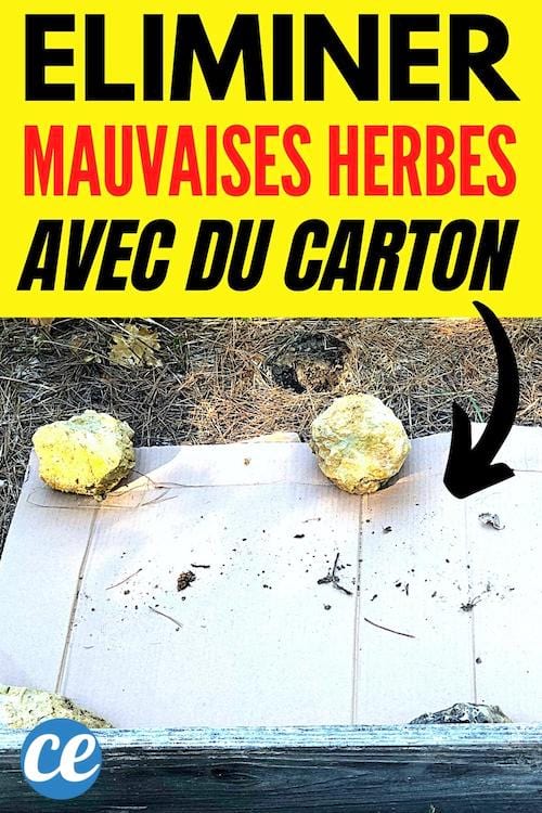 du carton posé dans un bac de potager pour éliminer les mauvaises herbes