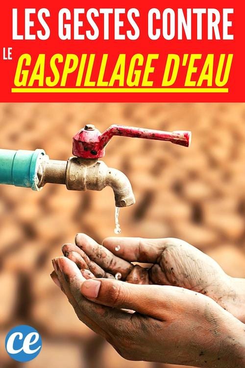 23 gestes contre le gaspillage d'eau à la maison à cause de la sécheresse