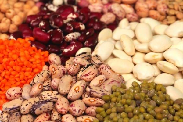 Difficult-to-digest legumes