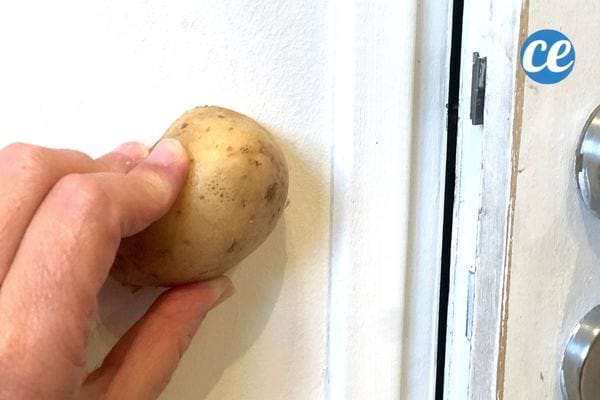 une moitié de pomme de terre frottée sur les traces de doigts sur un mur blanc
