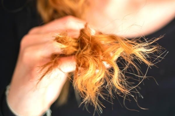 The ends of a damaged woman's hair 