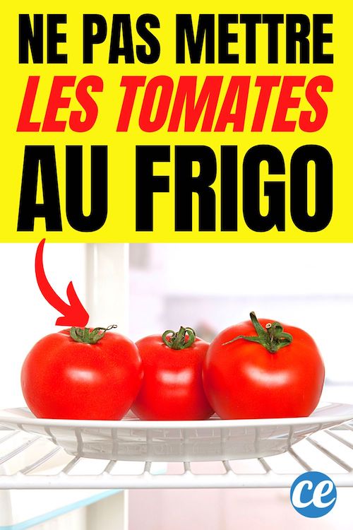 Pourquoi On Ne Doit Pas Mettre les Tomates au Frigo
