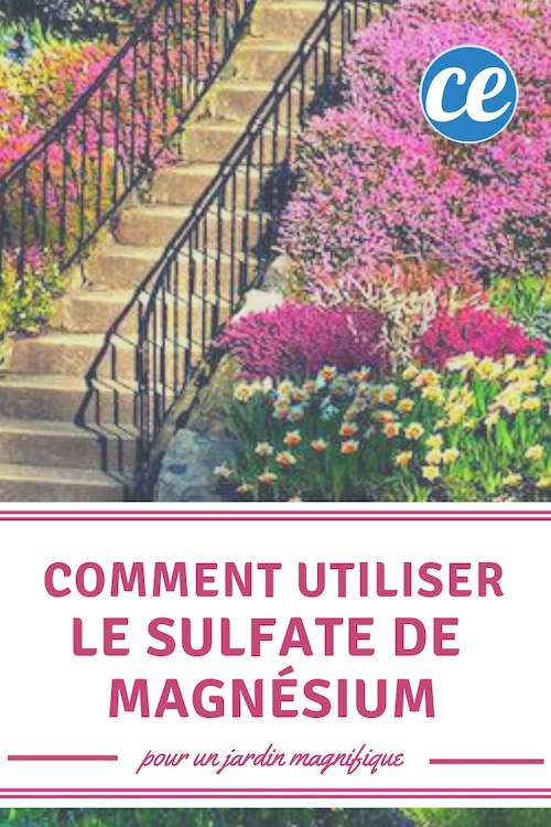 Comment Utiliser le Sulfate de Magnésium Pour Avoir un Jardin Magnifique.