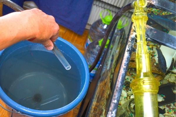 Une personne qui vide l'eau d'un aquarium et qui l'a récupère pour éviter le gaspillage