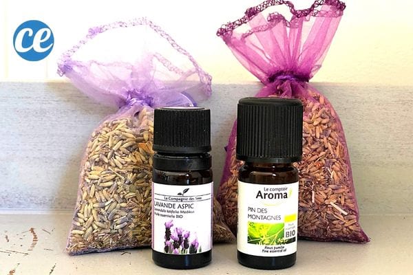 lavandes et huile essentielle de lavande pour un bain aromatique