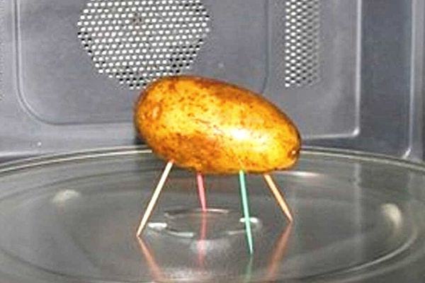 Plusieurs cure-dents dans une pomme de terre pour la faire cuire dans le micro-ondes