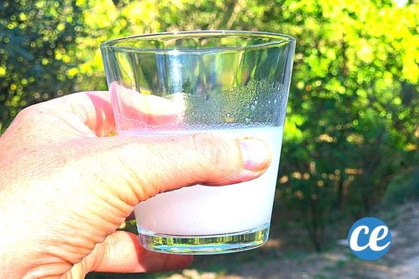 un verre d'eau de riz tenu dans une main