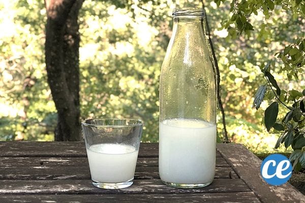 un verre d'eau de cuisson de riz avec une bouteille sur une table dans le jardin