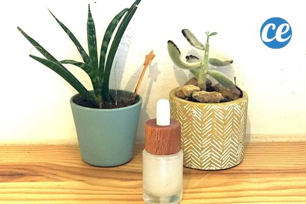 un serum anti vieillissement fait avec de l'eau de cuisson de riz dans une petite fiole devant les plantes