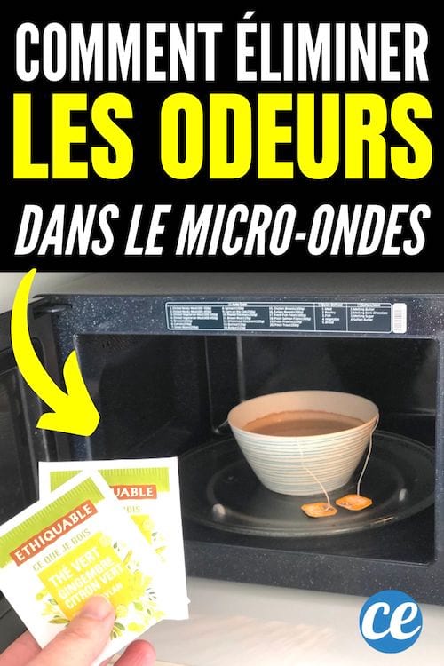 MicroOndes L’Astuce Pour Éliminer les Odeurs (et Laisser un Bon Parfum).