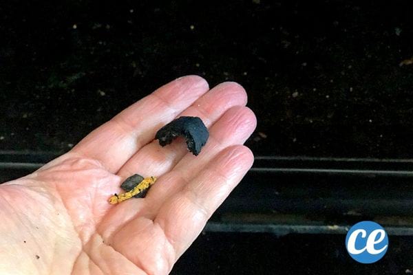 des résidus brûlés enlevés du four