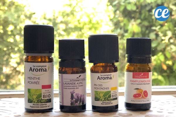 flacons d'huile essentielle pour un massage stimulant