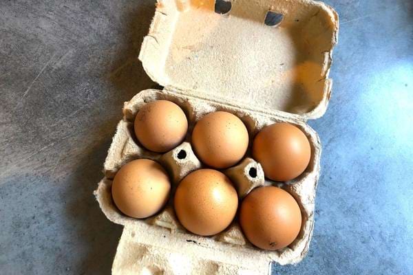A pack of six eggs in its cardboard box 