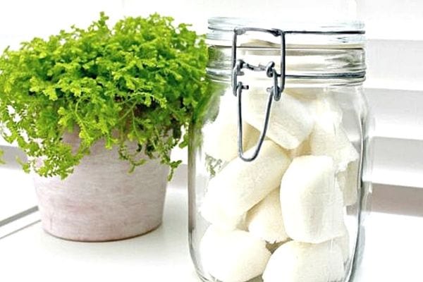 des pastilles pour lave vaisselle faites maison dans un bocal transparent à côté d'une plante