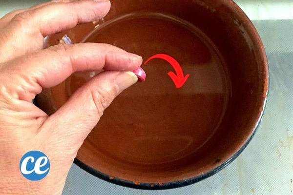 une petite pastille rouge mise dans un bol d'eau