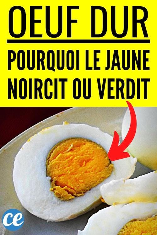Un oeuf dur avec le jaune de l'oeuf qui devient vert et noir
