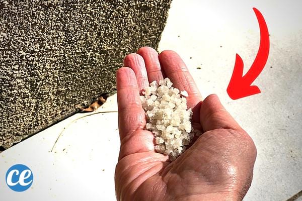 Du sel dans la main contre ls fourmis dans la maison