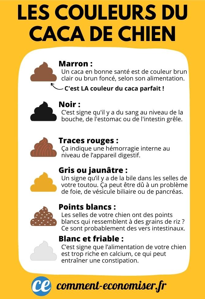 Ce Que le Caca de Votre Chien Dit Sur Sa Santé.